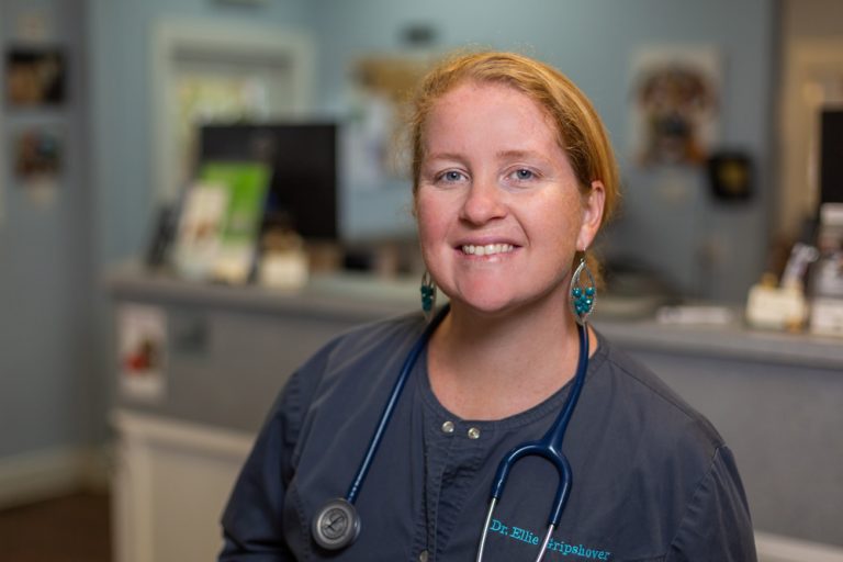 Meet the Team By Pass Animal Clinic Bowling Green, KY